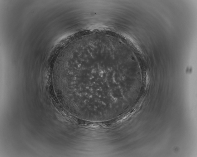 X0000097631063200803071526