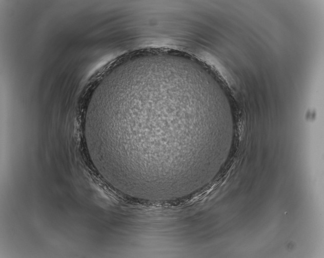 X0000097631064200803071526