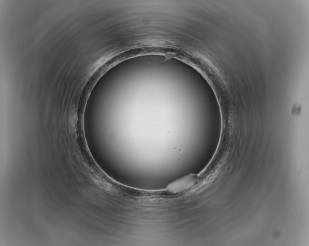 X0000097631065200803071526