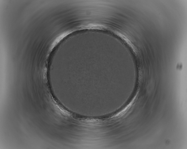 X0000097631066200803071526