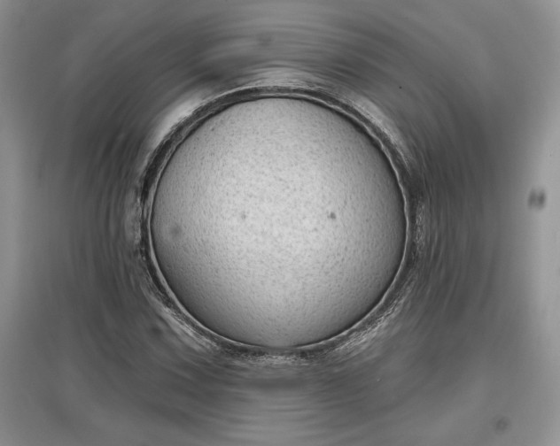 X0000097631067200803071526