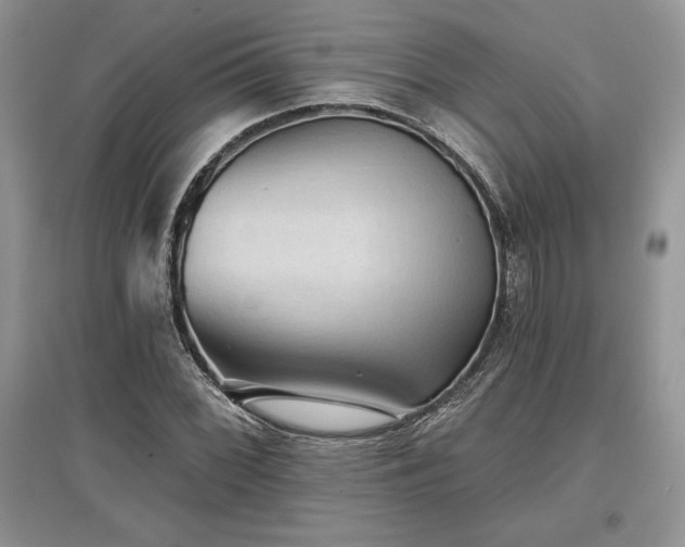 X0000097631068200803071526