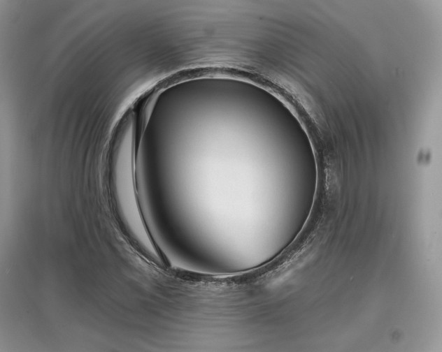 X0000097631069200803071526