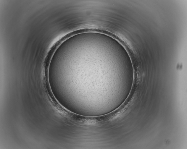 X0000097631070200803071526