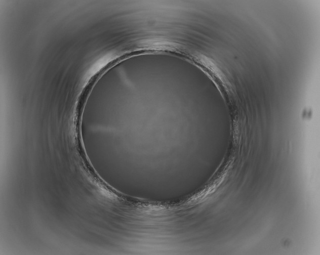 X0000097631071200803071526