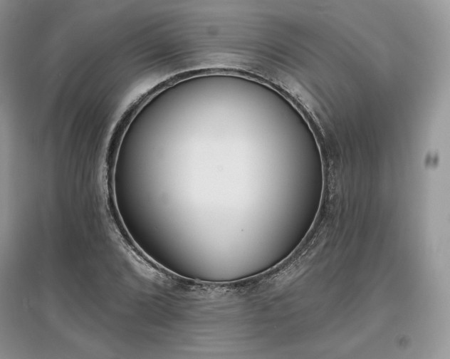 X0000097631072200803071526