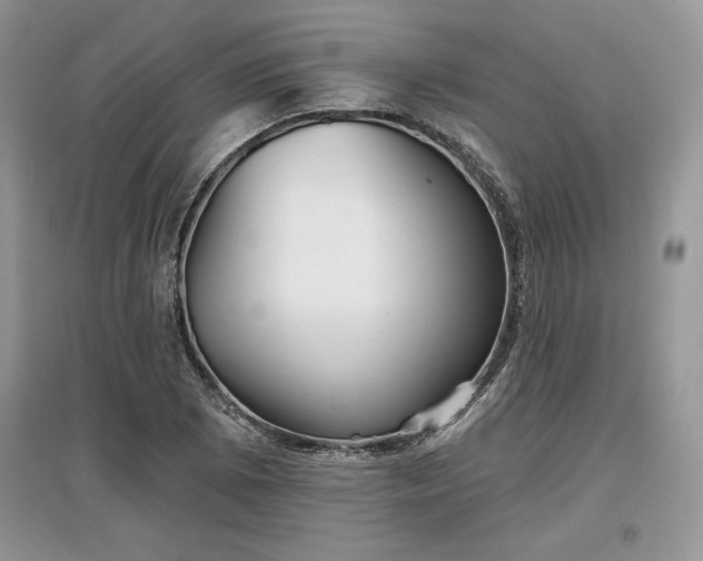 X0000097631073200803071526