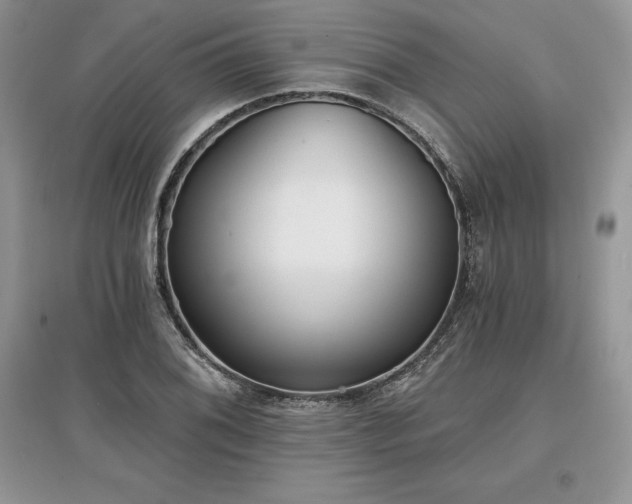 X0000097631076200803071526