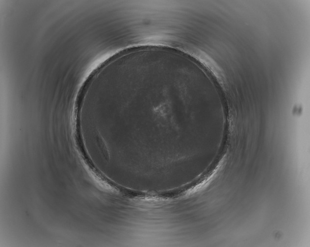 X0000097631077200803071526