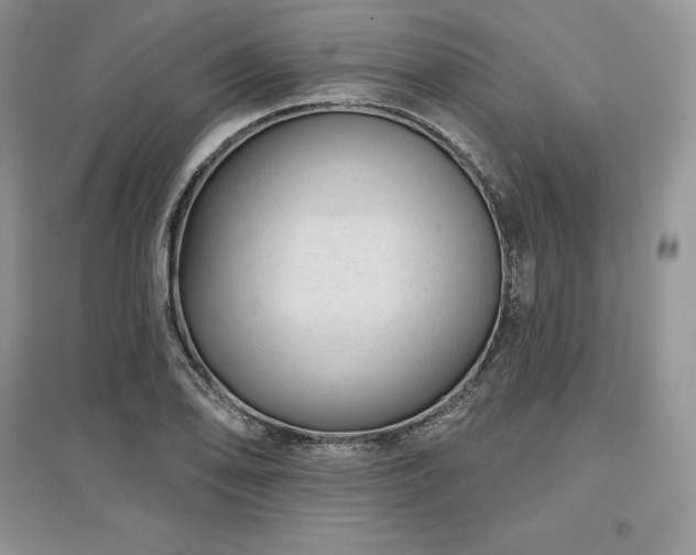 X0000097631078200803071526