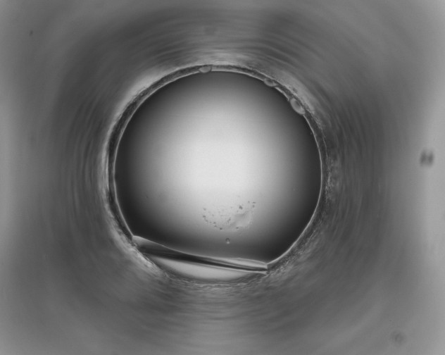 X0000097631080200803071526