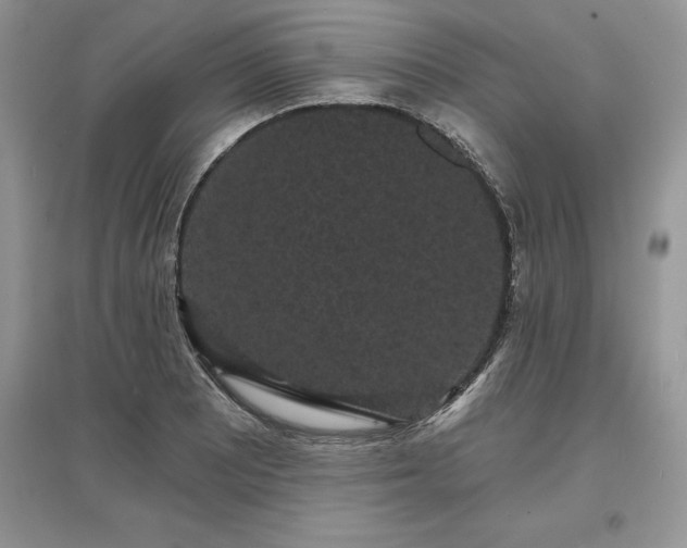 X0000097631081200803071526