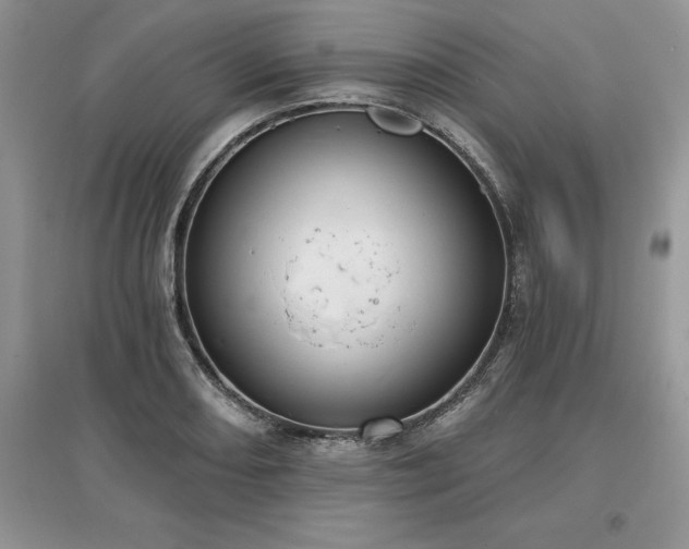 X0000097631082200803071526