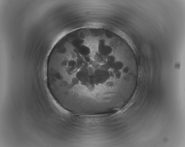 X0000097631083200803071526