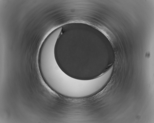 X0000097631084200803071526