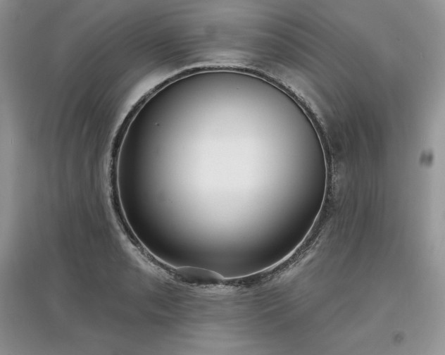 X0000097631085200803071526