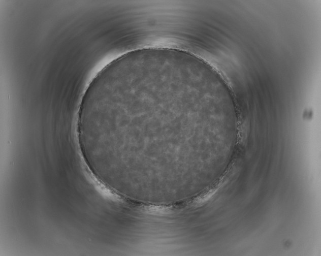 X0000097631086200803071526