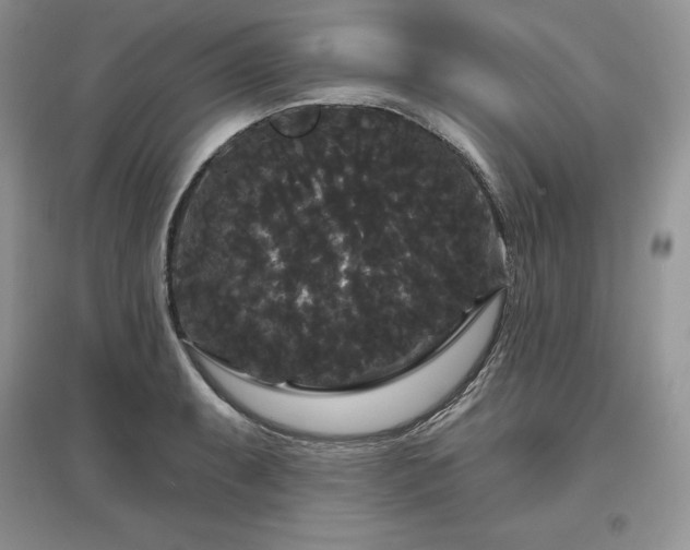 X0000097631087200803071526