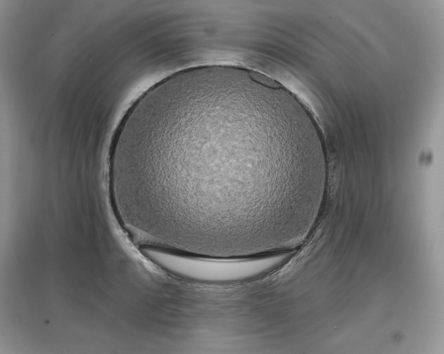 X0000097631088200803071526