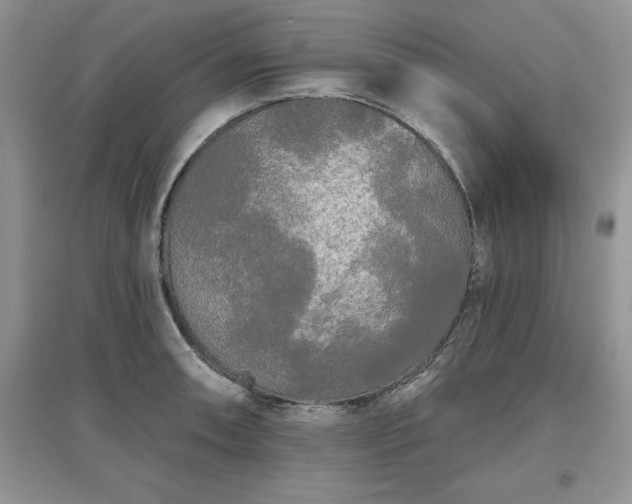 X0000097631090200803071526