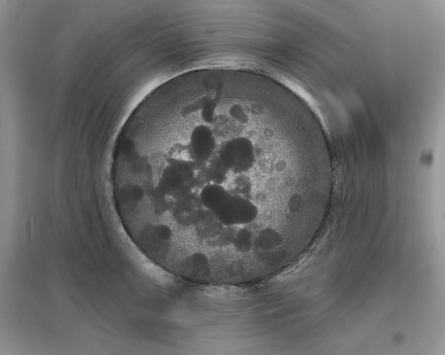 X0000097631091200803071526