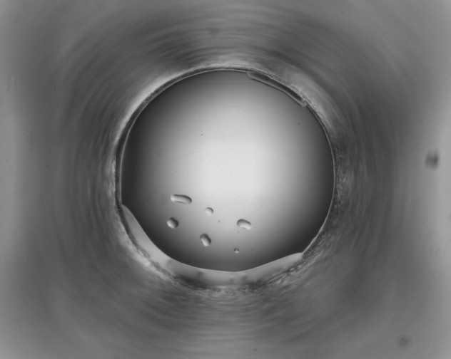 X0000097631092200803071526