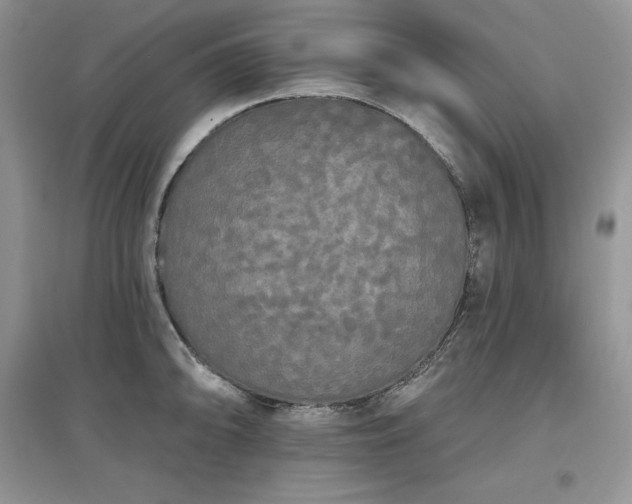 X0000097631094200803071526