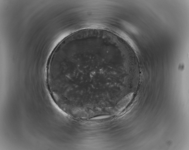 X0000097631095200803071526