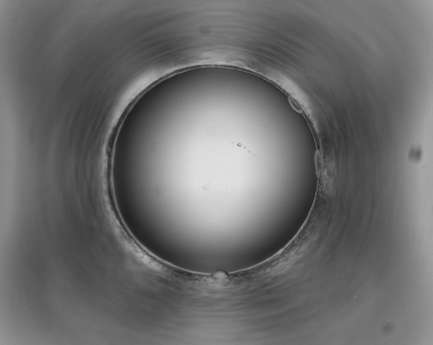 X0000097631096200803071526