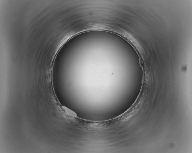 X0000097631097200803071526