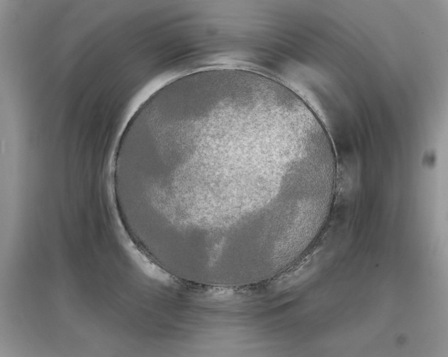 X0000097631098200803071526