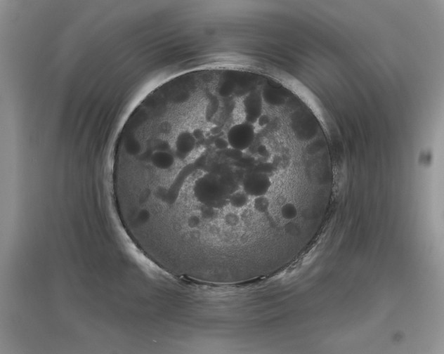 X0000097631099200803071525