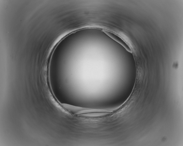 X0000097631100200803071525