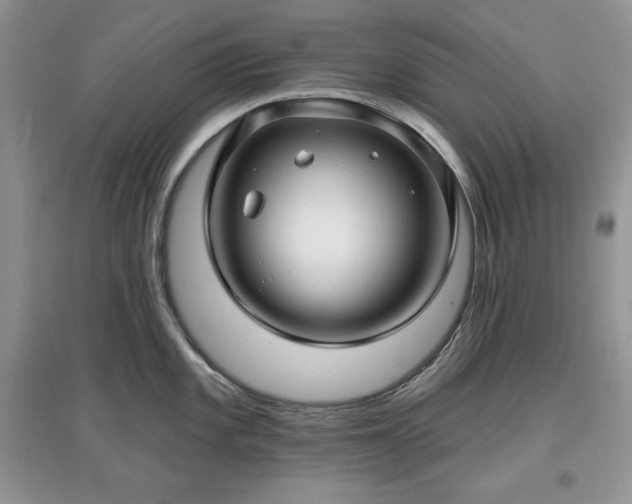 X0000097631101200803071525