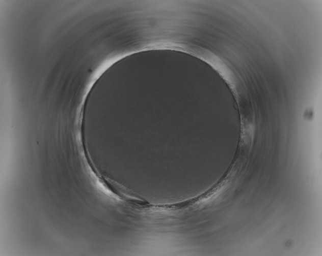 X0000097631102200803071525