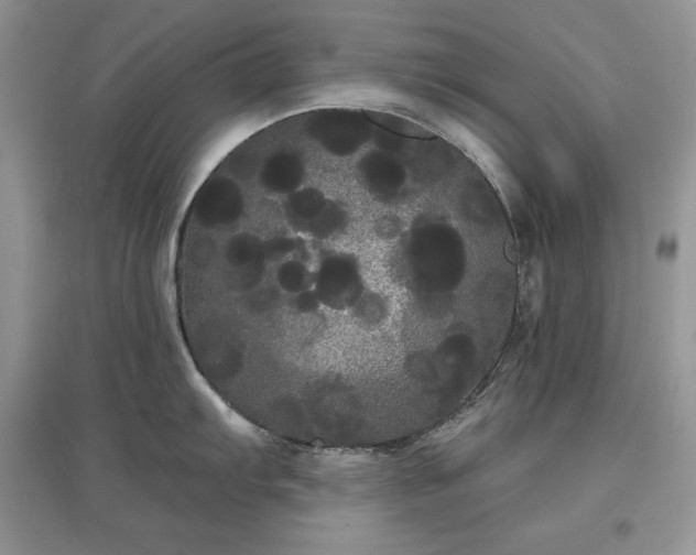 X0000097631103200803071525