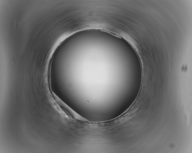 X0000097631104200803071525