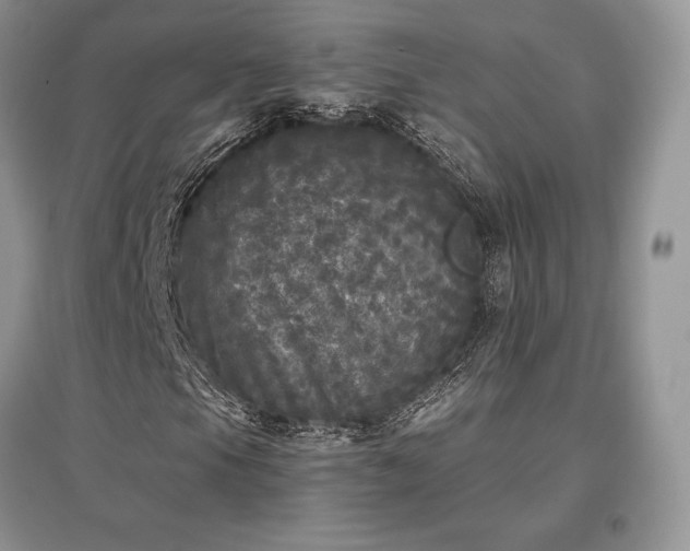 X0000097631105200803071525