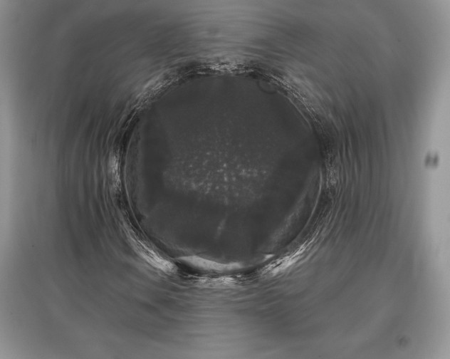 X0000097631106200803071525