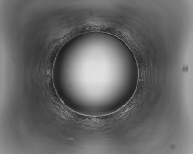 X0000097631109200803071525