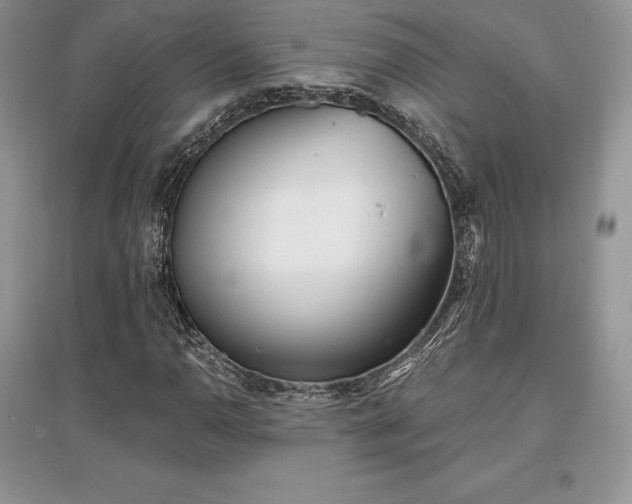 X0000097631110200803071525