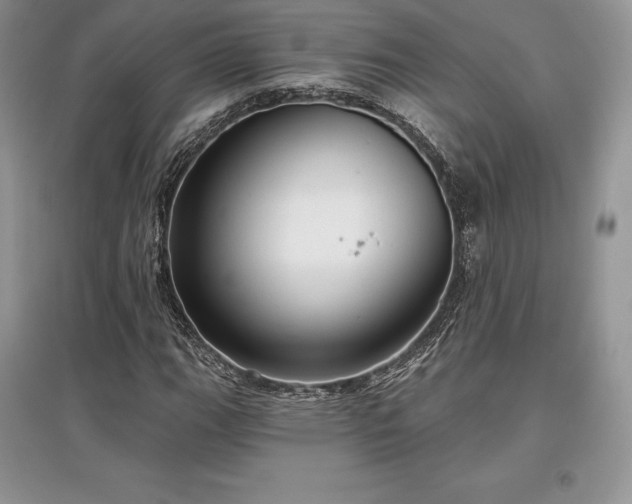 X0000097631111200803071525