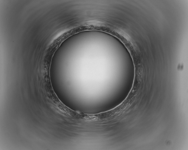 X0000097631112200803071525