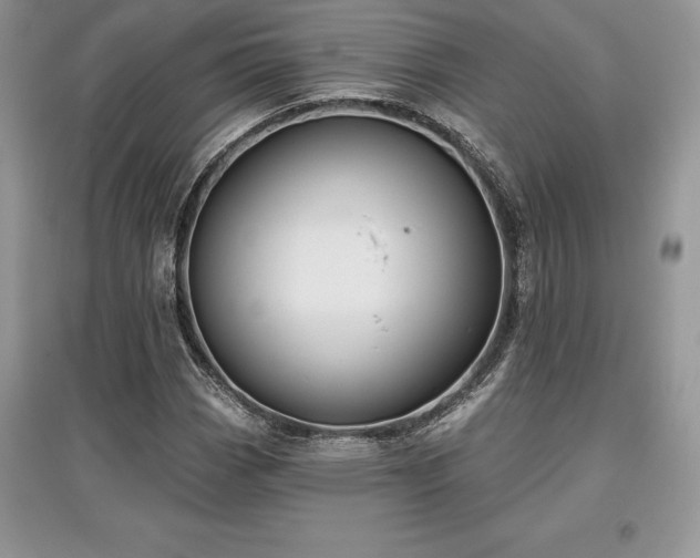 X0000097631113200803071525