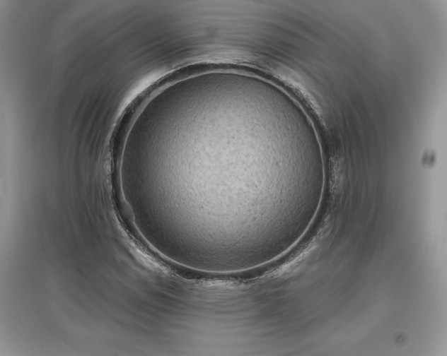 X0000097631114200803071525