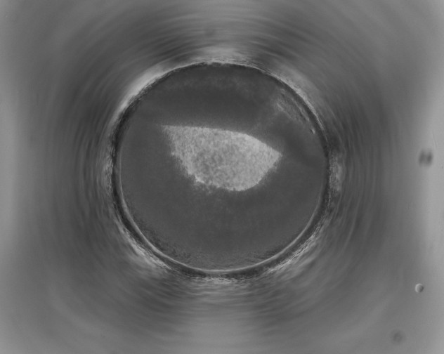 X0000097631115200803071525