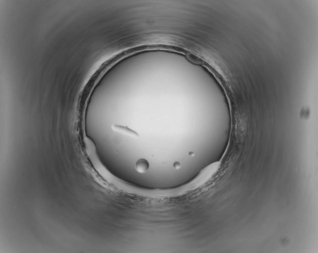 X0000097631116200803071525