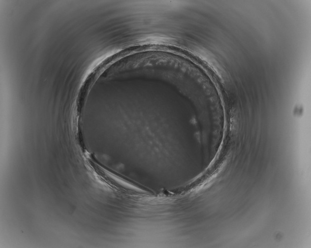 X0000097631117200803071525