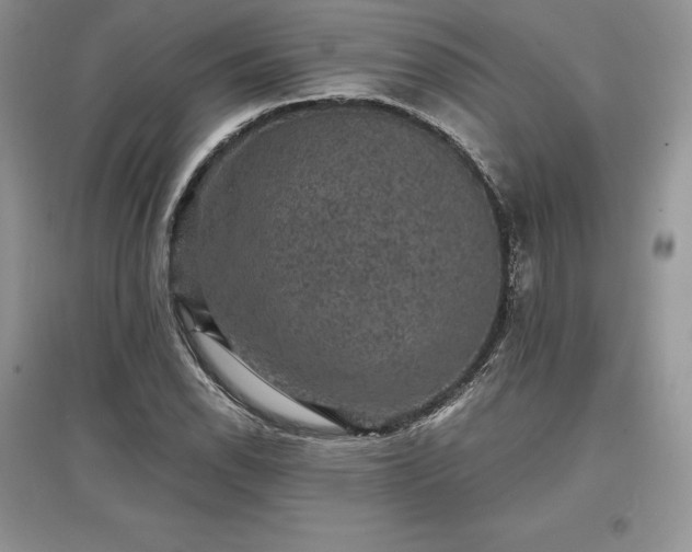 X0000097631118200803071525