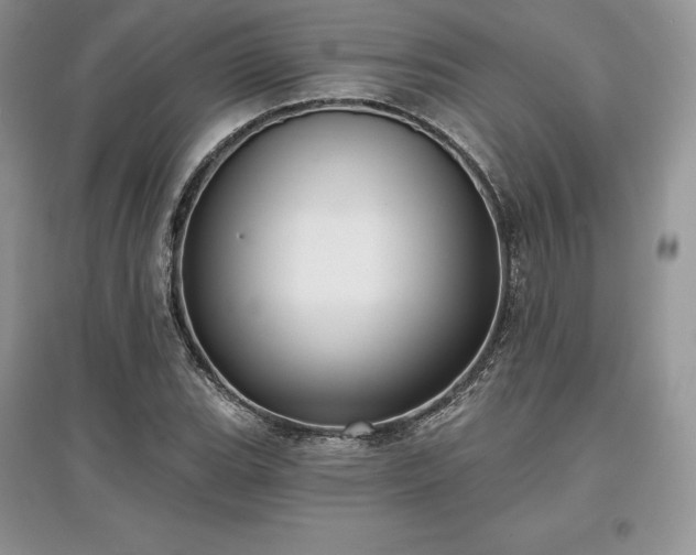 X0000097631119200803071525